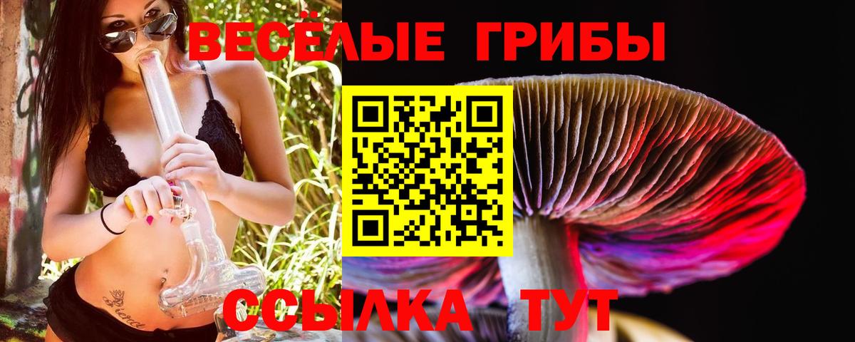 наркота  Галлюциногенные грибы Magic Shrooms  Вход с VPN  Люберцы 