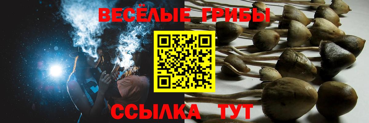 Псилоцибиновые грибы прущие грибы Люберцы